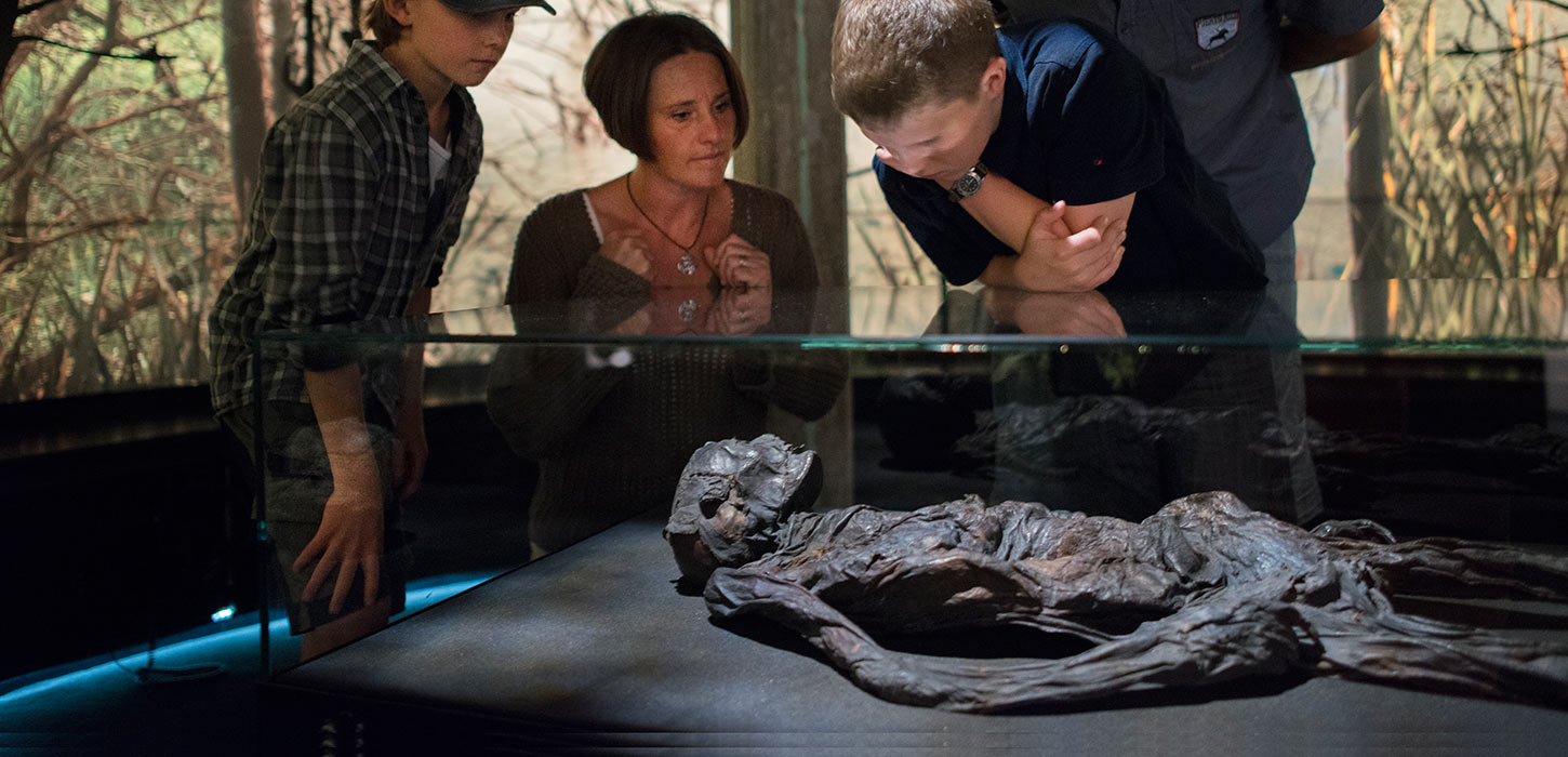 Familie der kigger på moseliget i Kulturmuseet