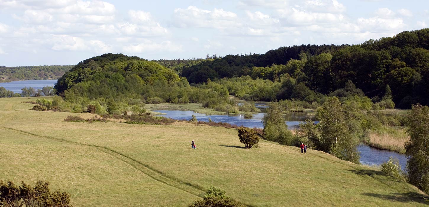 View of Rørbæk Sø with people walking around the lake