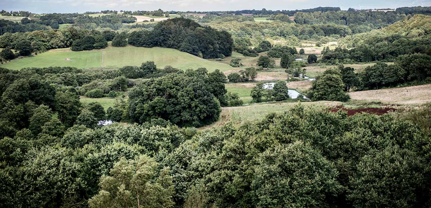 The view from Tørskind Grusgrav
