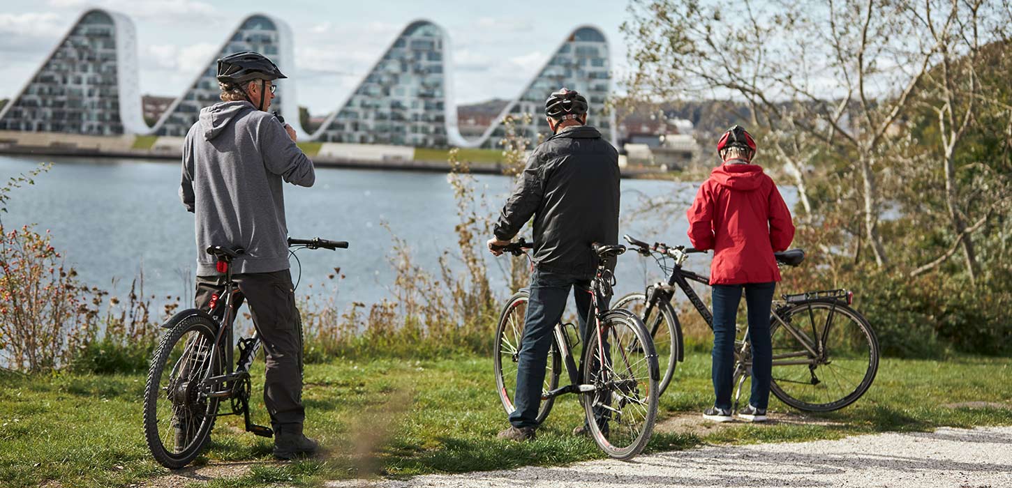Three cyclists cycle along the East Coast Route and take a break at Vejle Fjord and enjoy the view of Bølgen