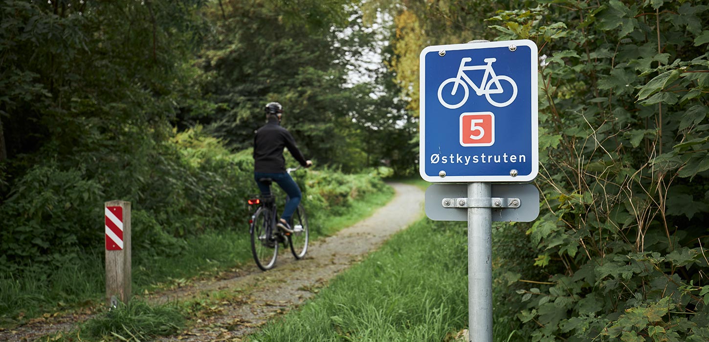 Person cycling along the East Coast Route at Børkop