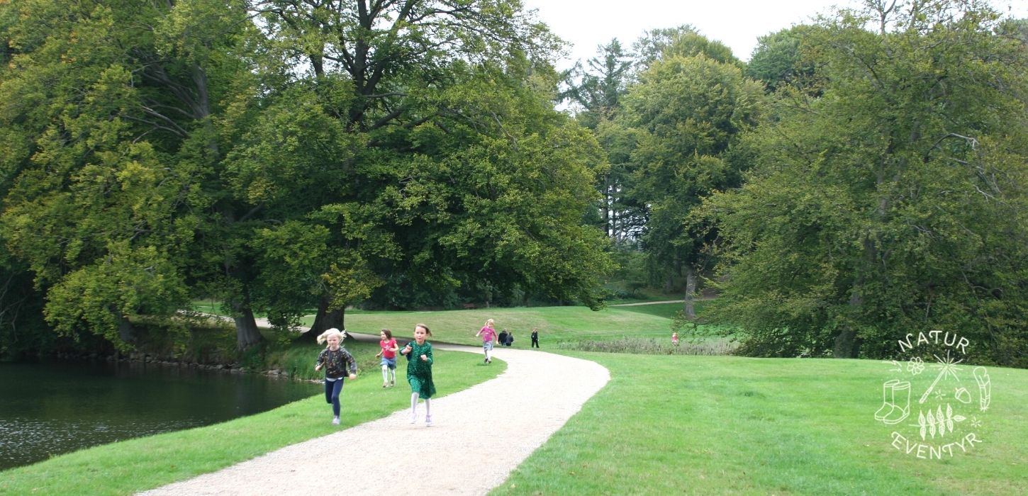 Løbende børn på sti i skoven på Natureventyr