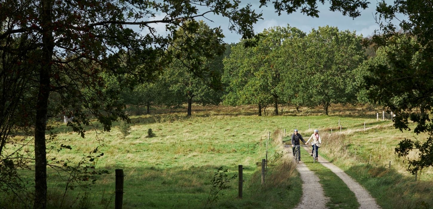 A couple cycling hand in hand at the source of Gudenåen