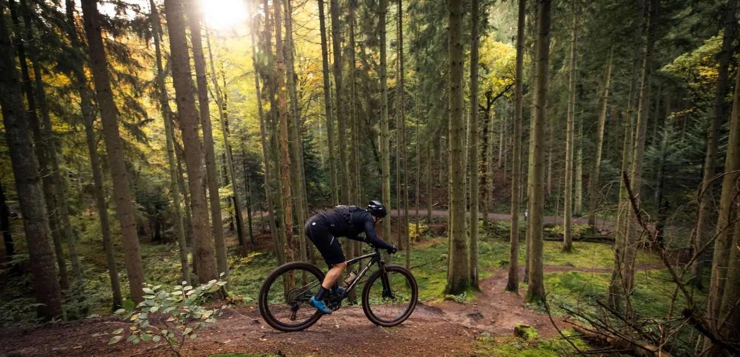 Cyclist on a mountain bike on the mountain bike track in Nørreskoven