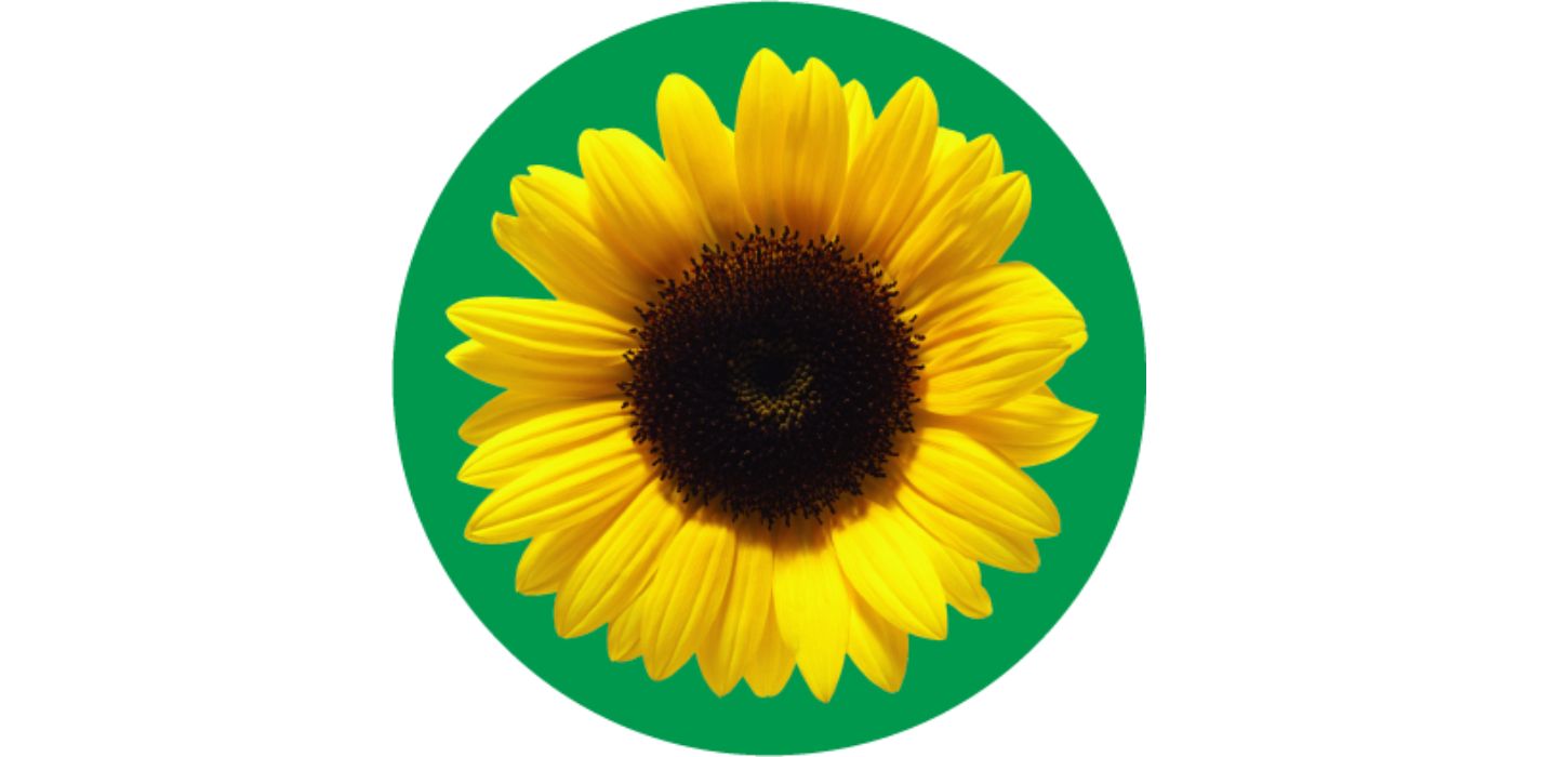 The sunflower program logo