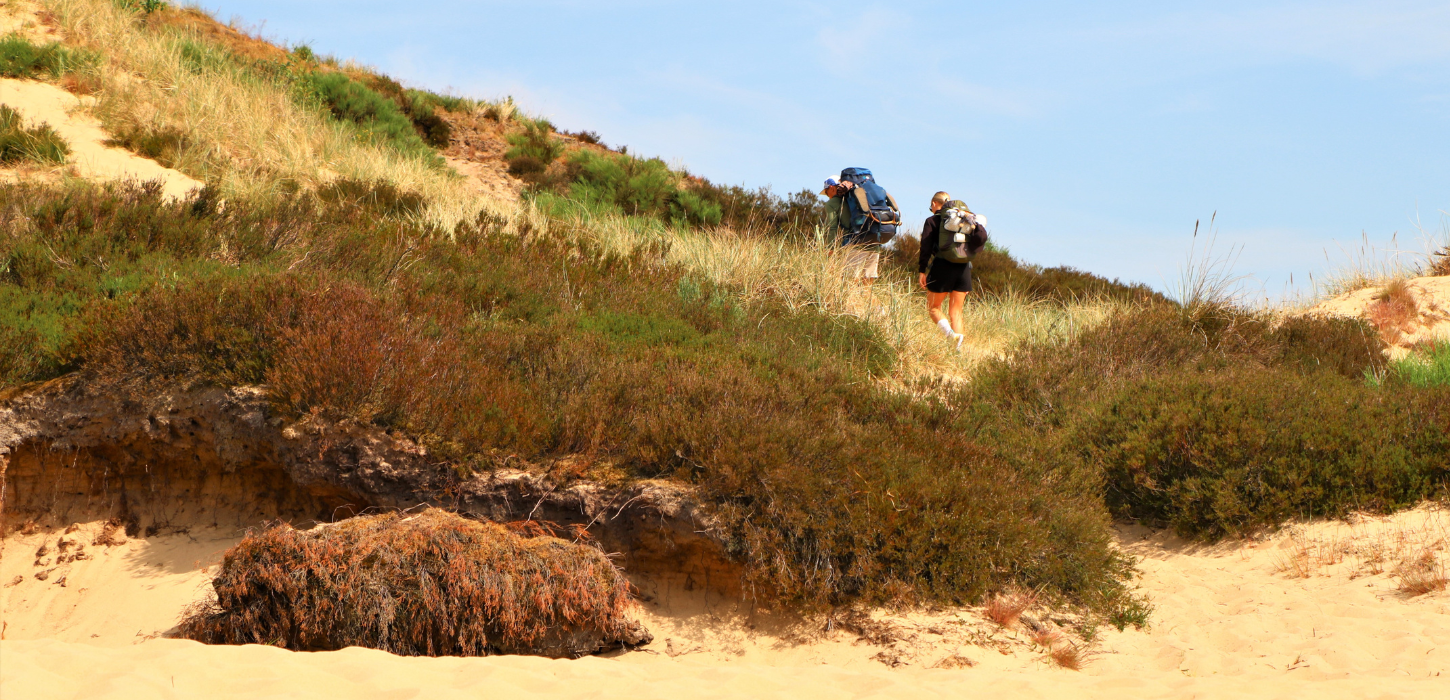  Two people are hiking on Randbøl Heath