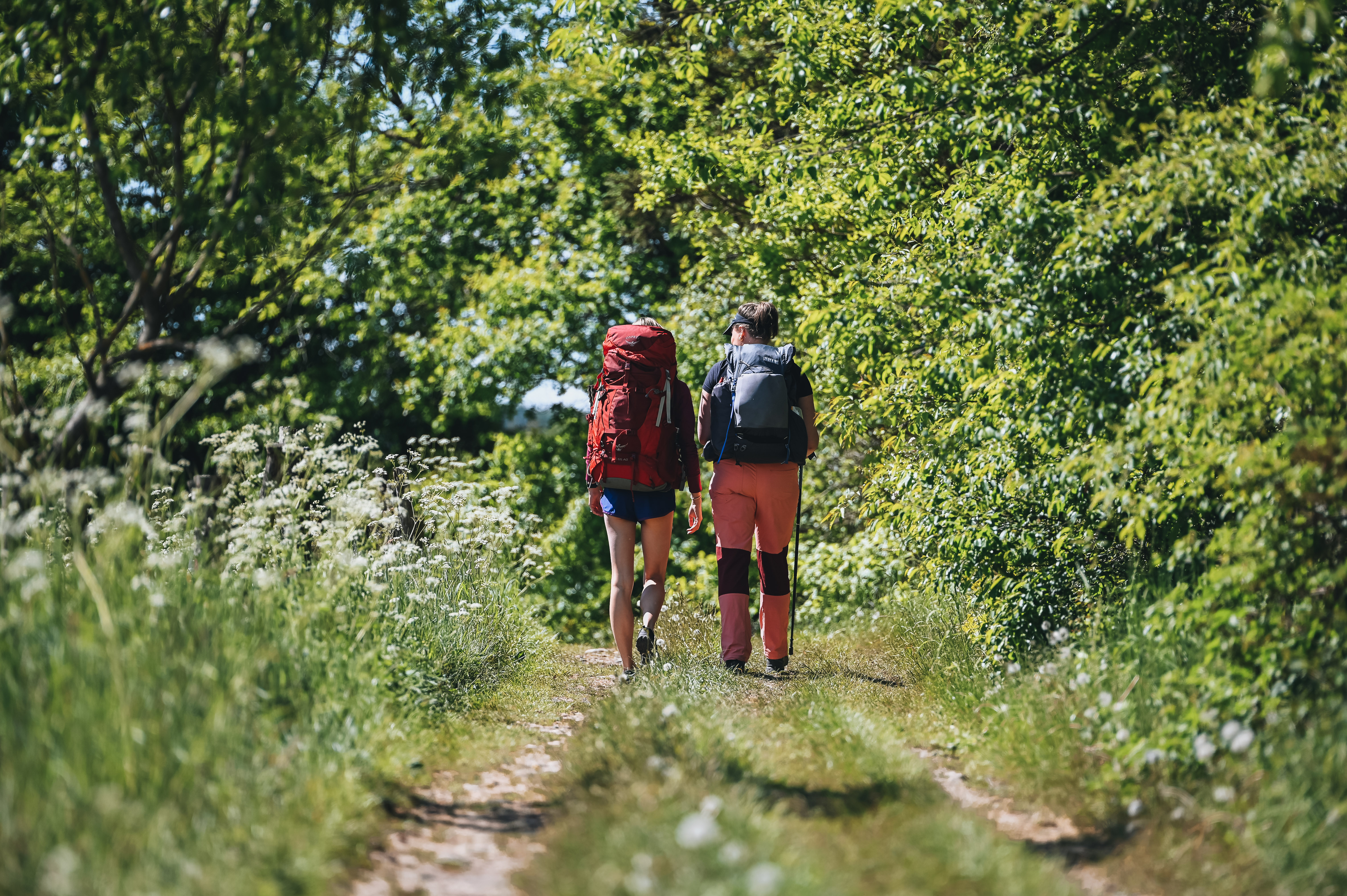 Two women on a hike on Hærvejen