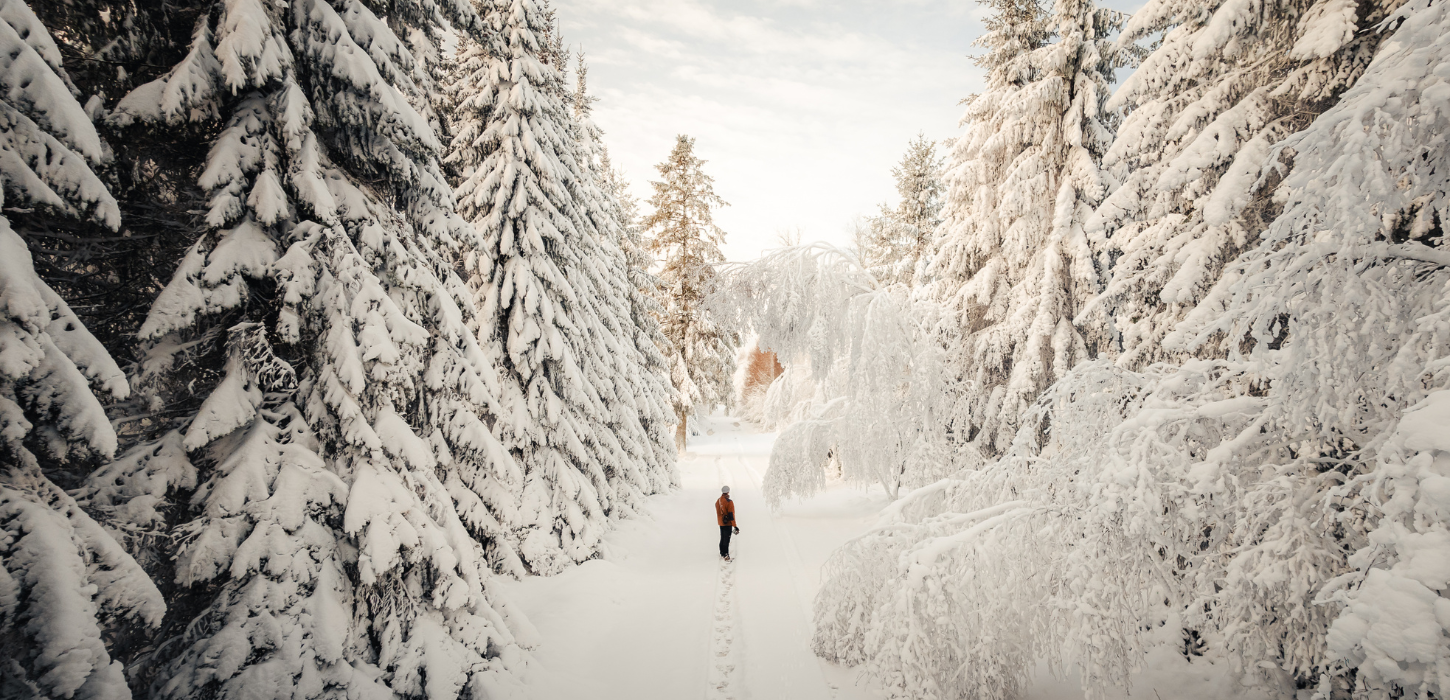 Eine Person bei einem Spaziergang in der verschneiten Landschaft in Kollemorten