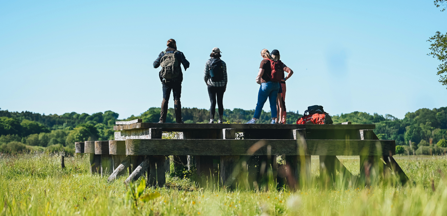 Four on a hike standing on Ravningbroen by Hærvejen
