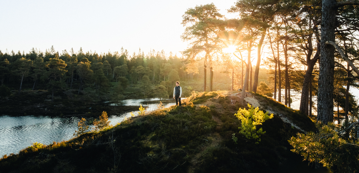 Person nyder udsigten over Syvårssøerne ved Frederikshåb Plantage