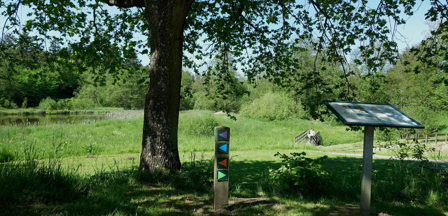 Several routes to walk at Kærlighedstien in Børkop