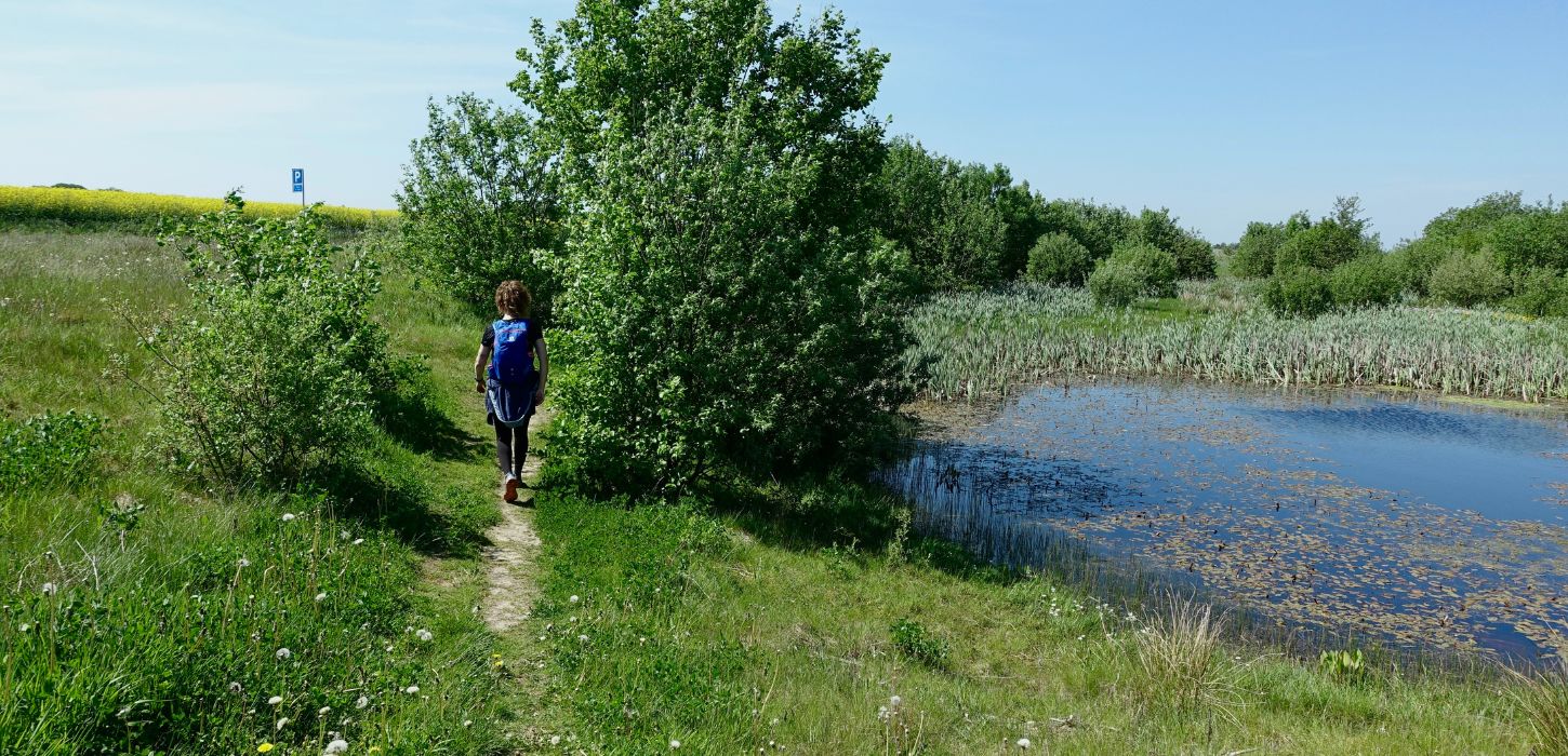 Person hiking along the Grejsdalstien near Jelling