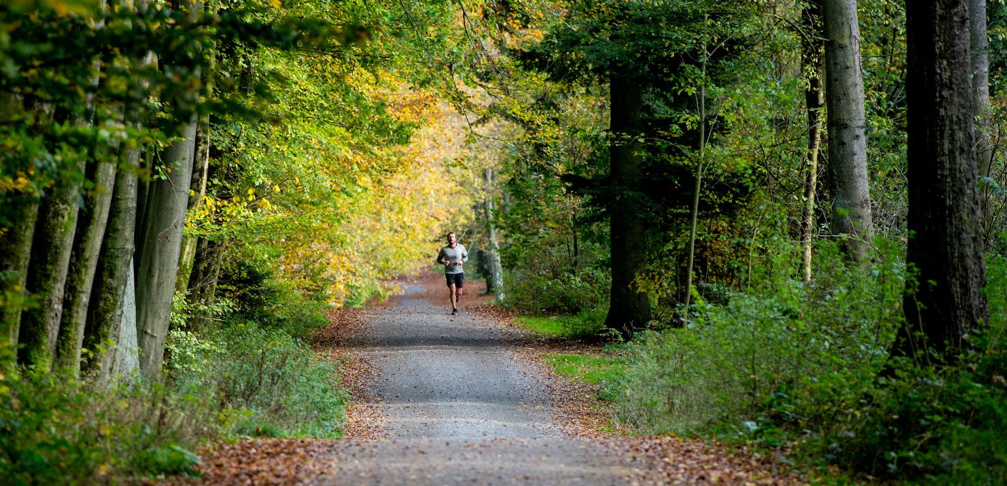 A runner who takes a run in Sønderskoven Forest in Vejle