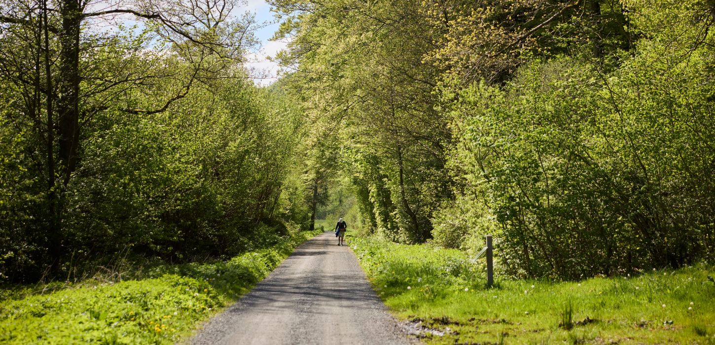Eine Person geht an einem Frühlingstag entlang des Hærvejen in der Nähe von Ravningbroen