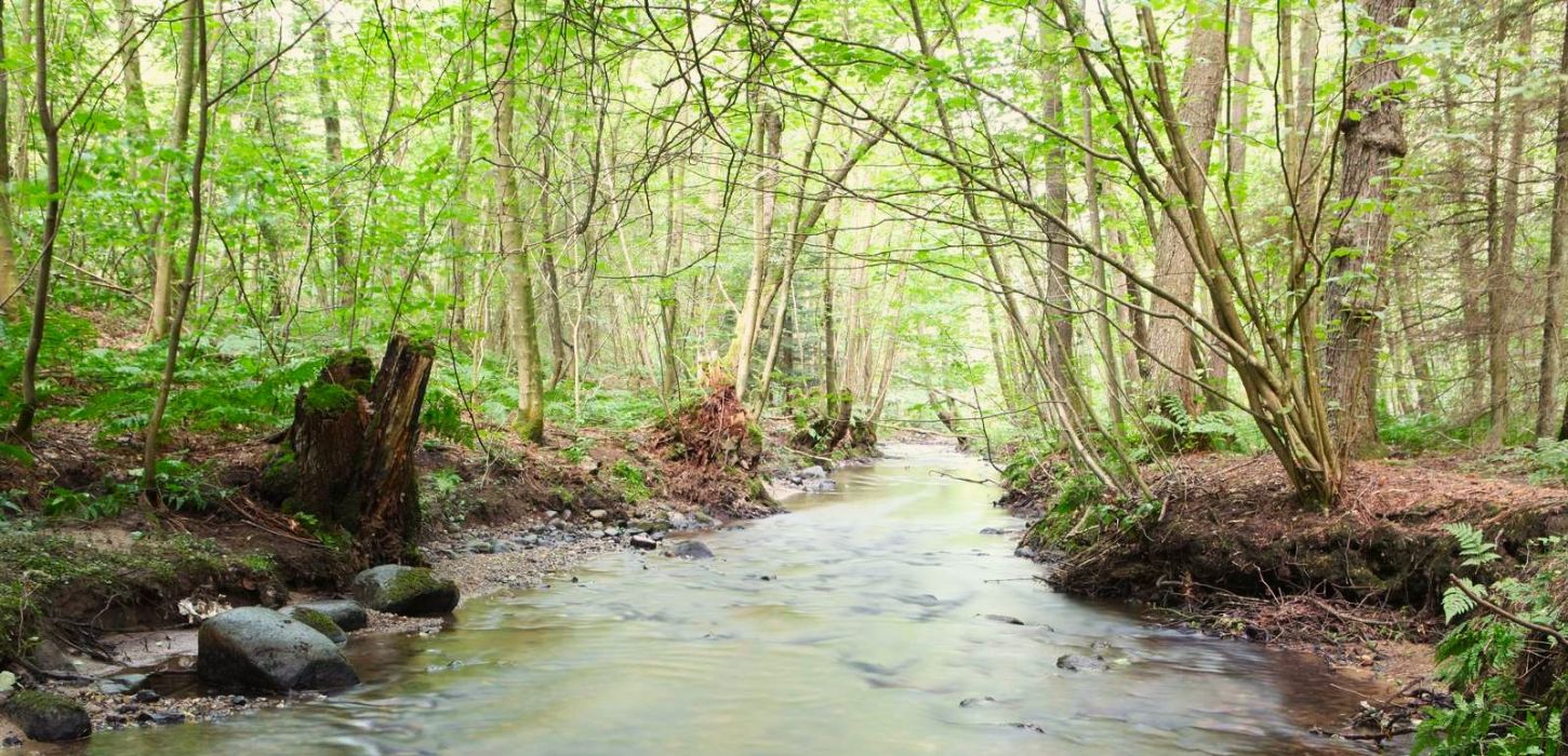 Højen Å in Højen Ådal close to the city of Vejle