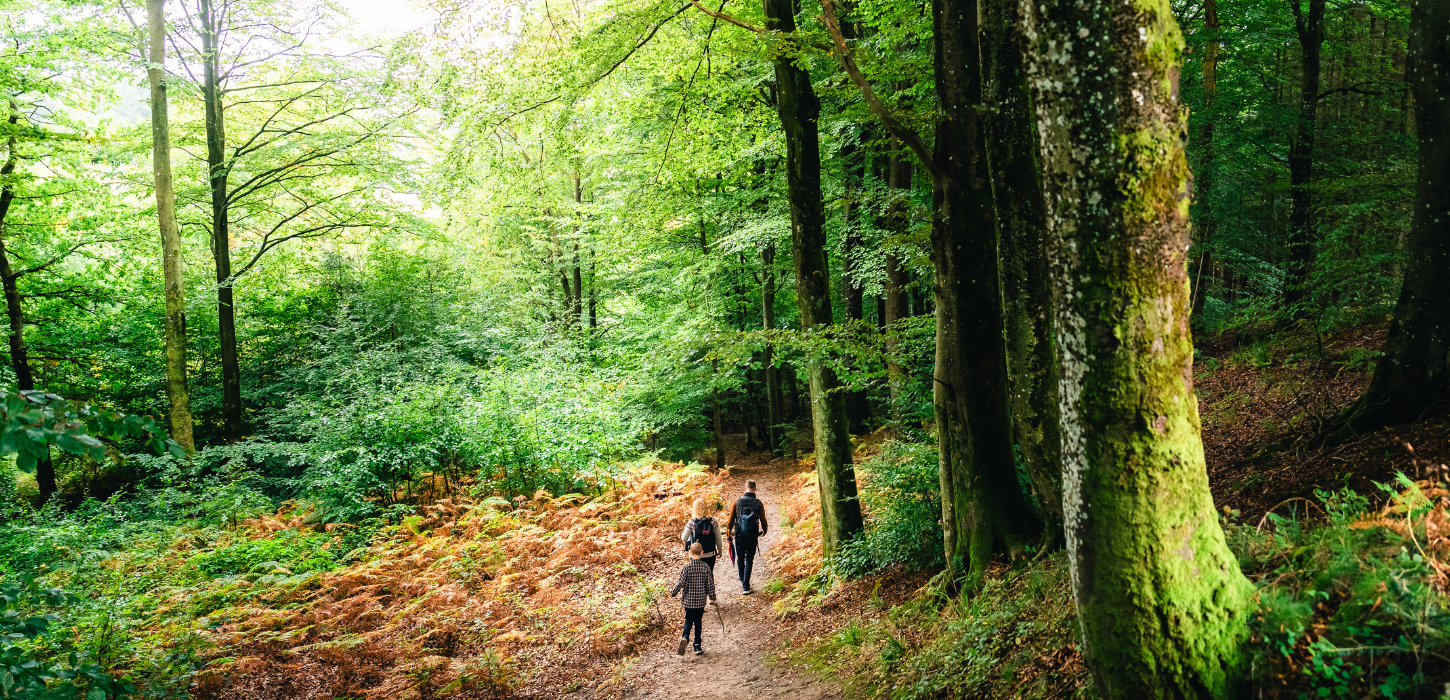 A family is on a trip along the Grejsdalstien