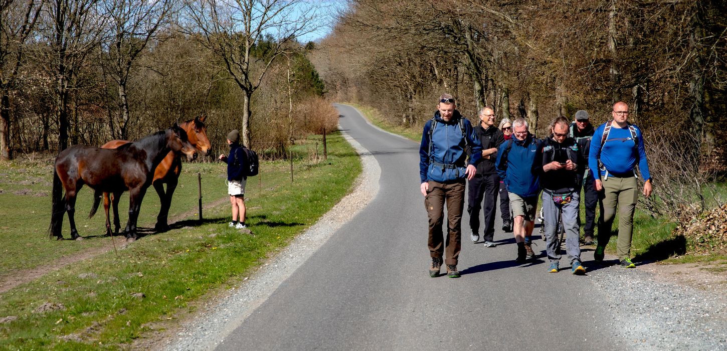 En flok mennesker vandrer langs vandreruten Rans Togt 