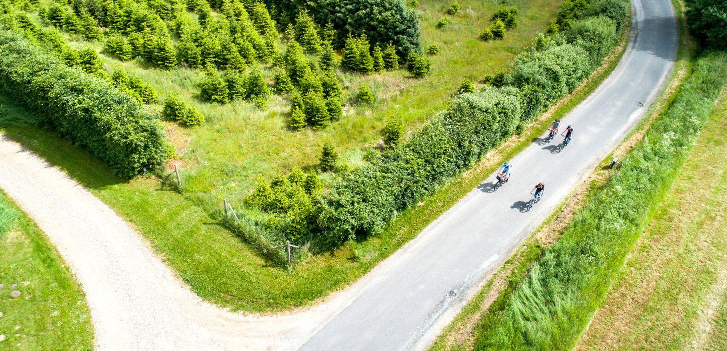 Cyklister cykler vha. Knudepunktsnetværket i Vejle Kommune
