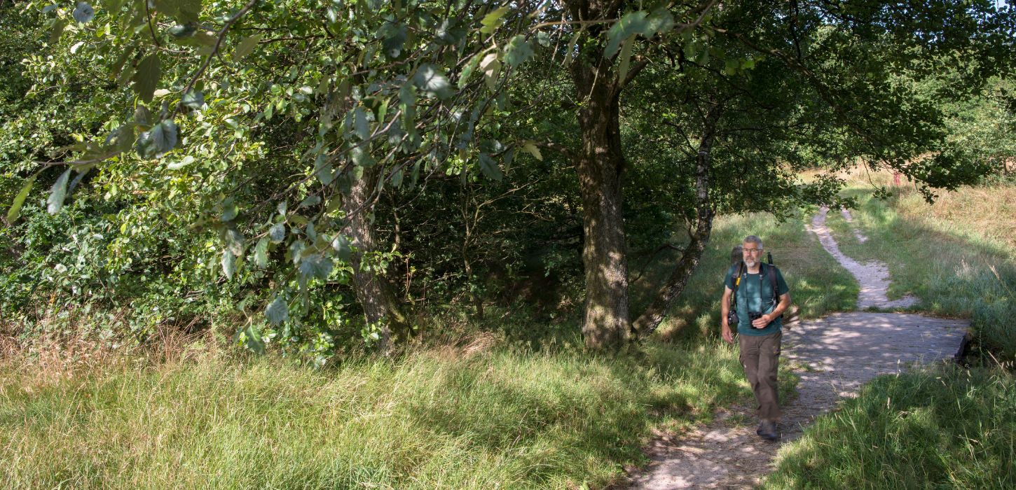 En person vandrer tæt ved Gudenåens Udspring