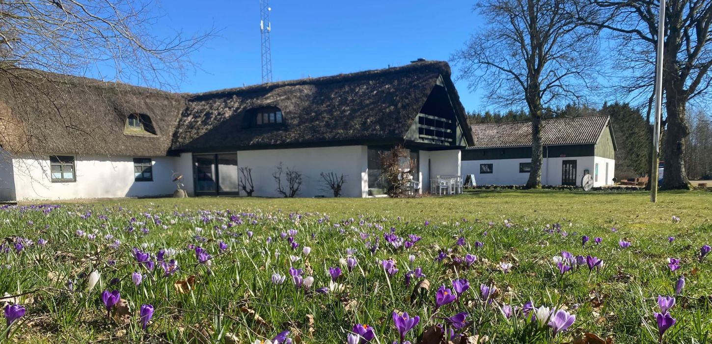 Museum Give set ude fra på en forårsdag med krokus i forgrunden