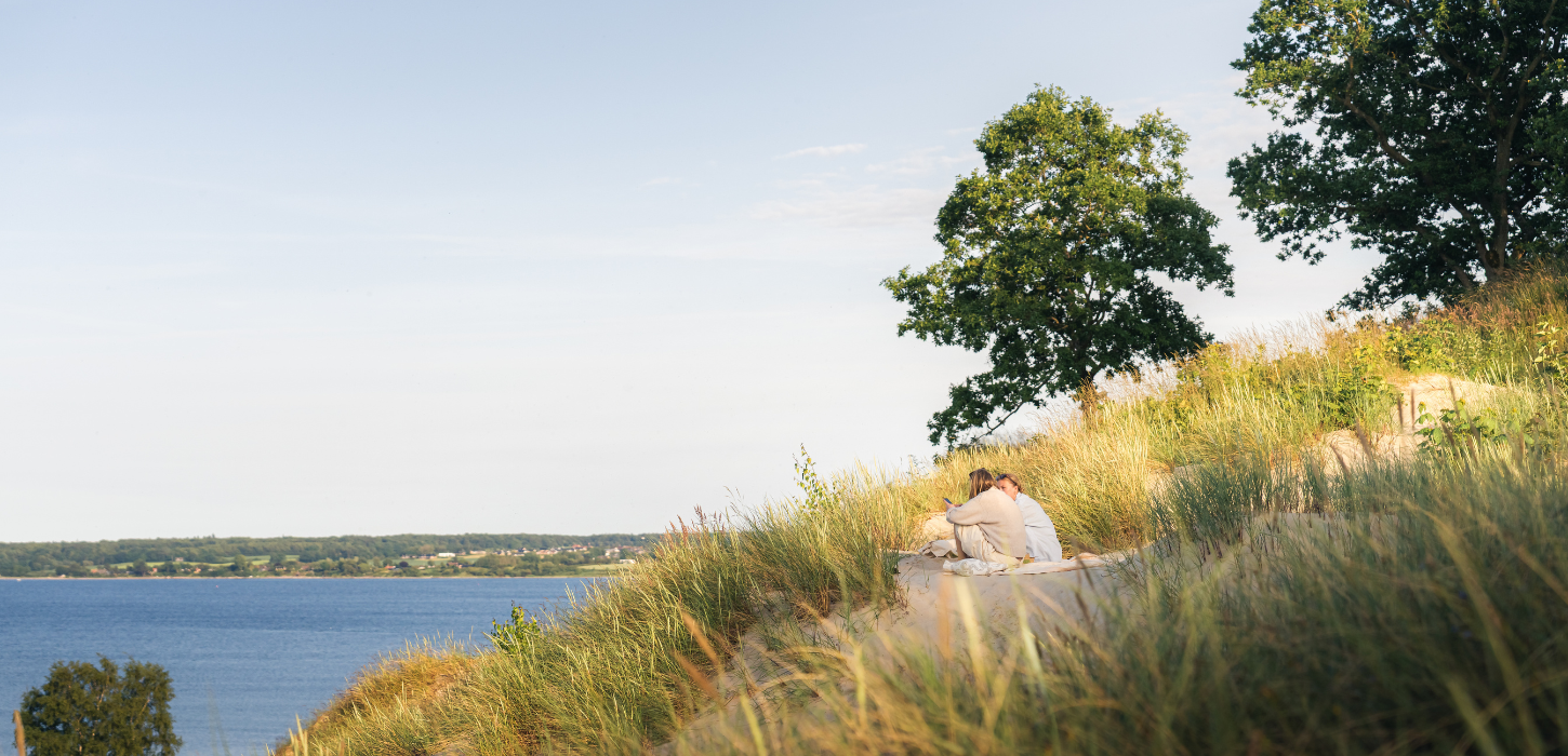 Women enjoy the view over Vejle Fjord at Hvidbjerg Beach