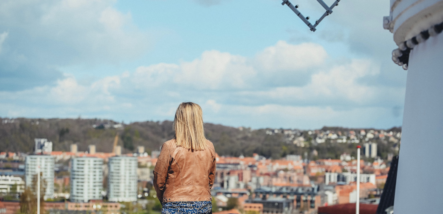 View over Vejle city from the Vejle Windmill