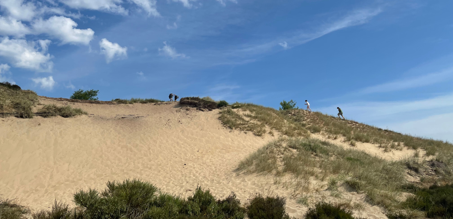 People are walking up Stoltenbjerg at Randbøl Heath.