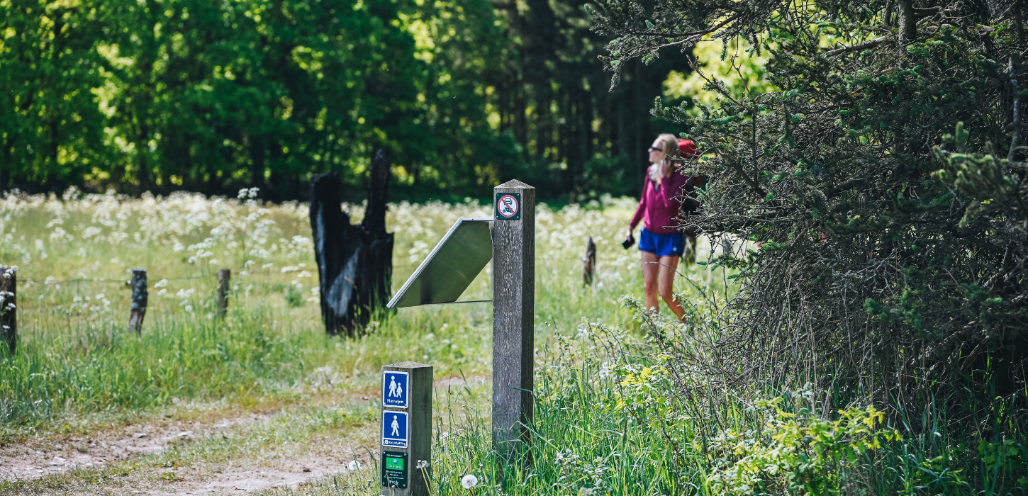 Kvinde på vandretur på Hærvejen en sommerdag