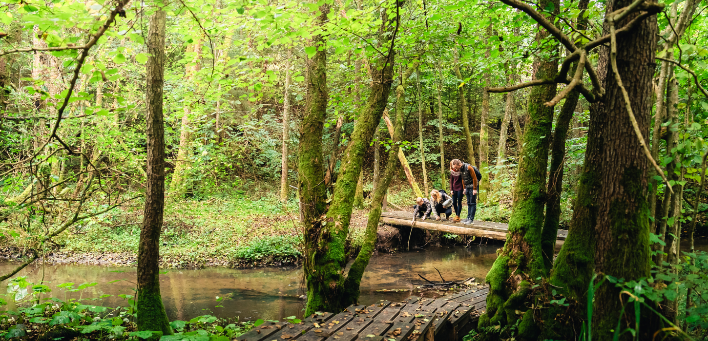 Family on a trip on the Grejsdalsstien