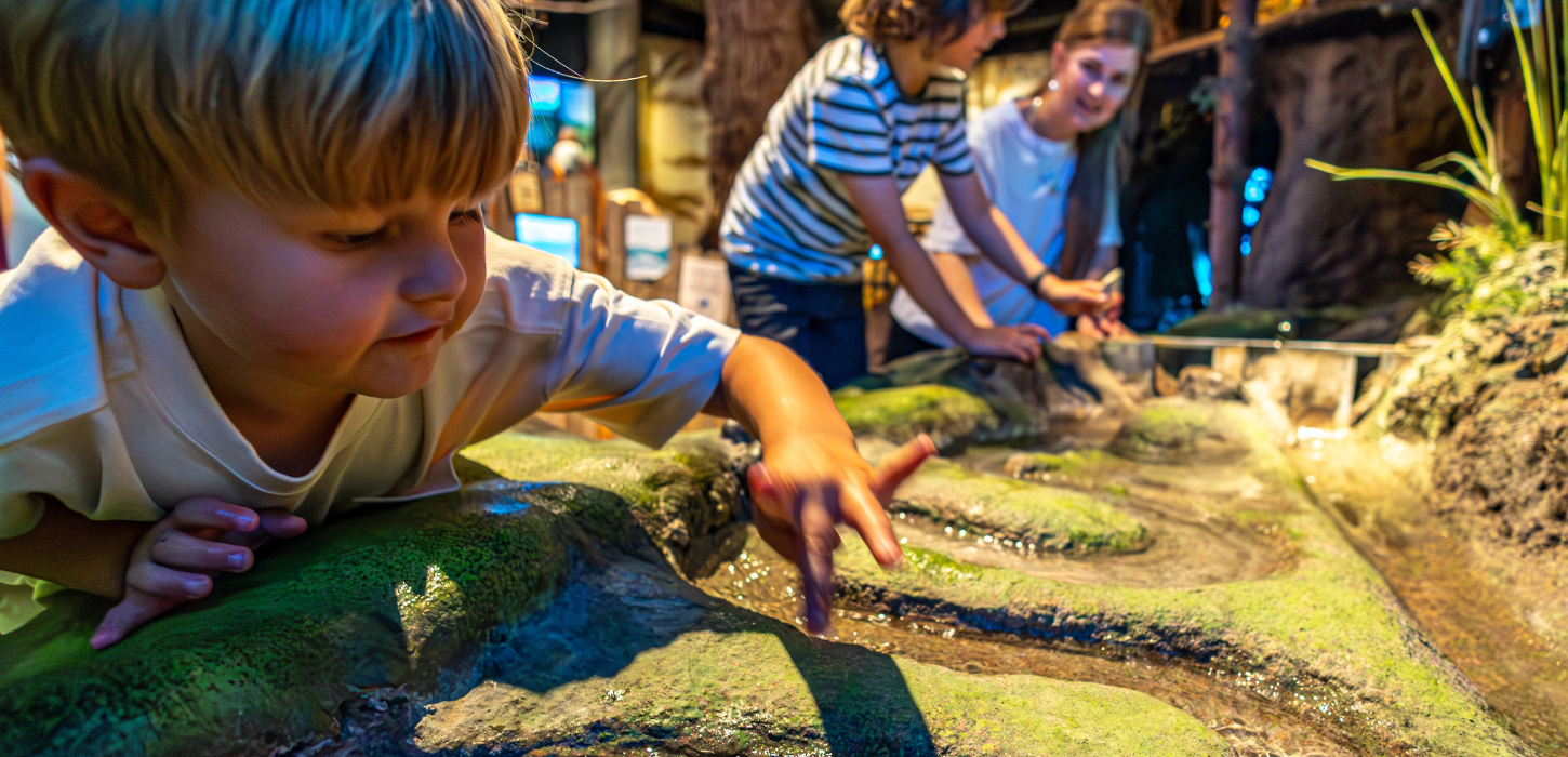 Children play and learn about water at the Økolariet
