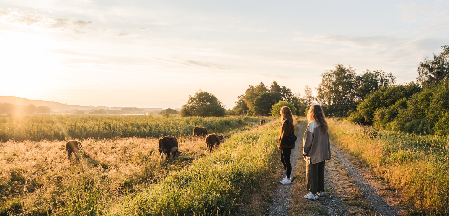Girls are taking a walk in Vejle Ådal close to cows